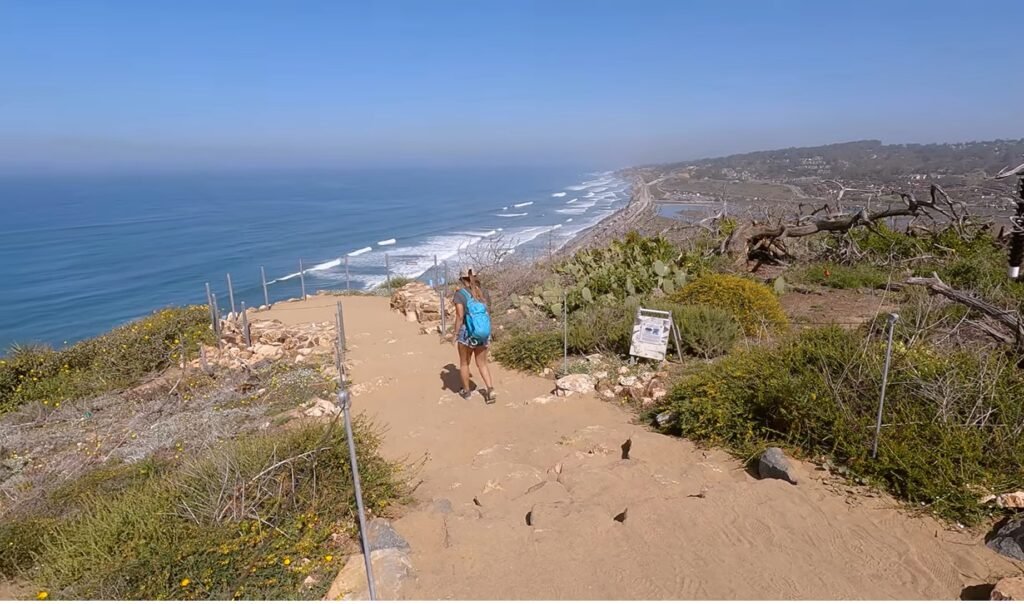 Torrey Pines State Natural Reserve