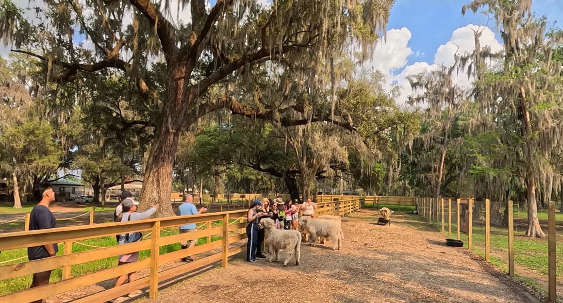 Boggy Creek Airboat Adventures