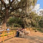 Boggy Creek Airboat Adventures