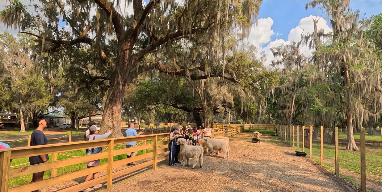 Boggy Creek Airboat Adventures